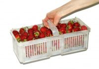 indagine-su-spesa-per-natale