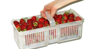 indagine-su-spesa-per-natale