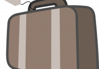 Polemica su United Airlines