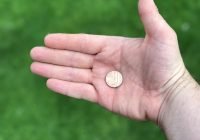 Direttiva sui commercialisti