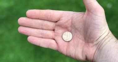 Direttiva sui commercialisti