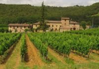 Lavoro in Chianti