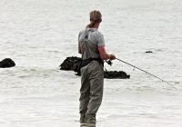 esempio di bait and switch