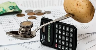 illsustrazione sul vincolo di bilancio